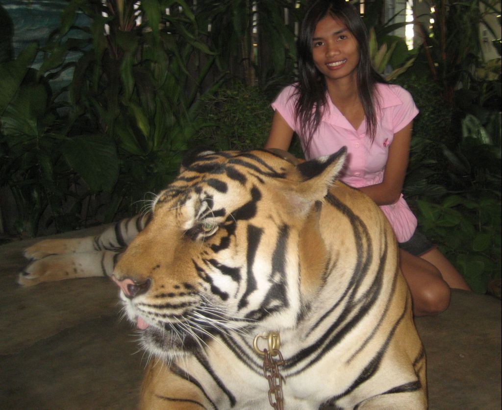 We Visited the Nong Nooch Tropical Gardens Today